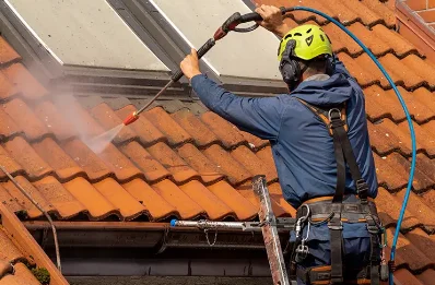 Démoussage et hydrofuge de toiture à Curienne